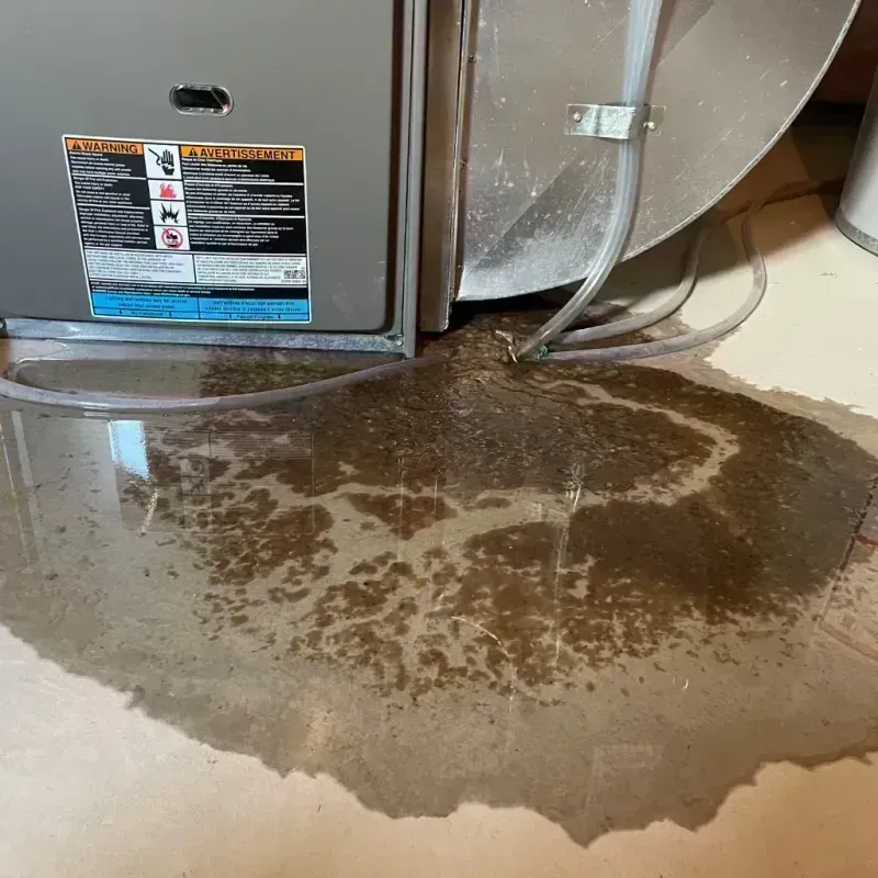 Appliance Leak Cleanup in Montezuma County, CO